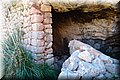 P2045291.JPG