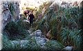 P2045307.JPG