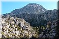 P2045313.JPG
