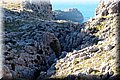 P2045323.JPG