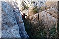 P2045327.JPG