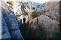 P2045333.JPG