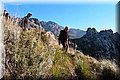 P2045353.JPG