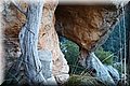 P2045370.JPG