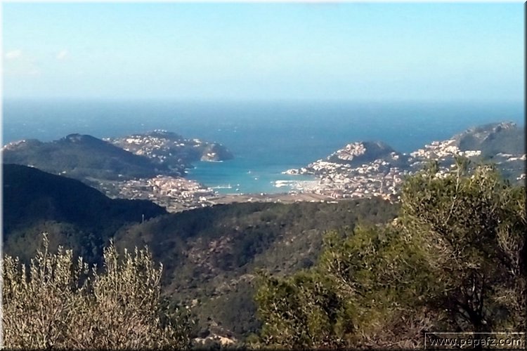 P2075410.JPG