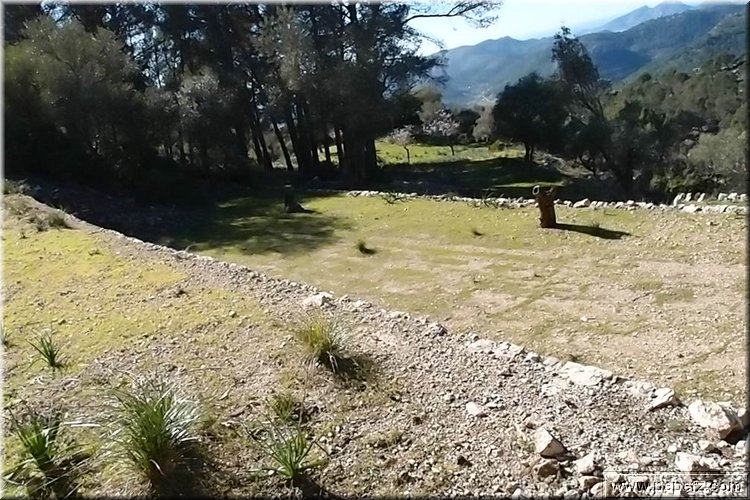 P2075535.JPG