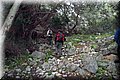 P2075390.JPG