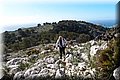 P2075441.JPG