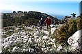 P2075447.JPG