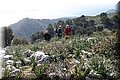 P2075451.JPG