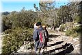 P2075530.JPG