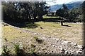 P2075535.JPG