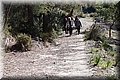 P2075547.JPG