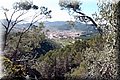 P2075575.JPG