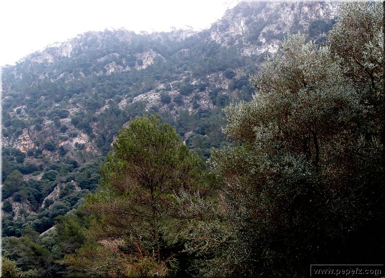 P2185863.JPG