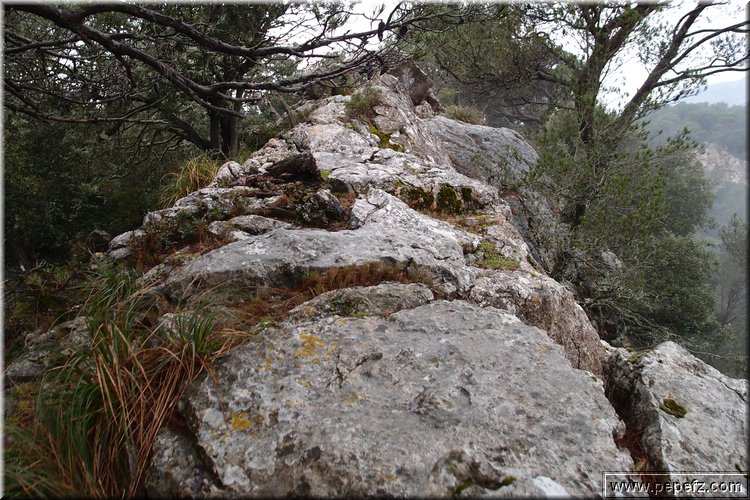 P2185889.JPG