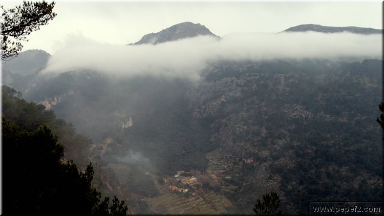 P2185891.JPG