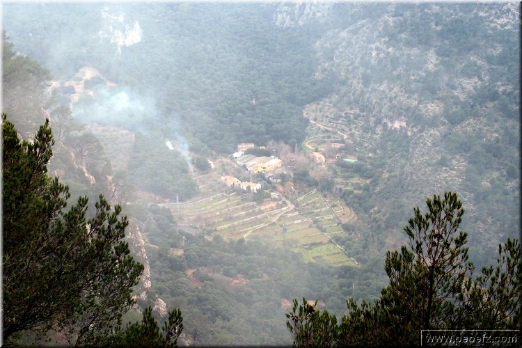 P2185894.JPG