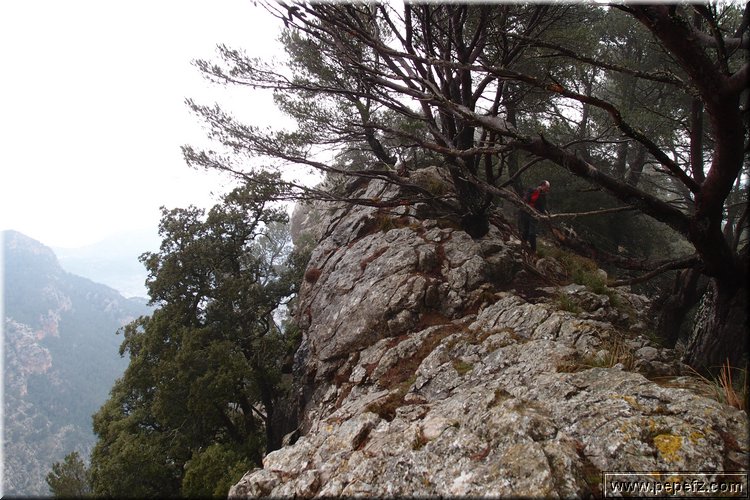 P2185896.JPG
