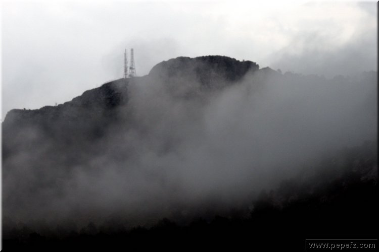 P2185900.JPG