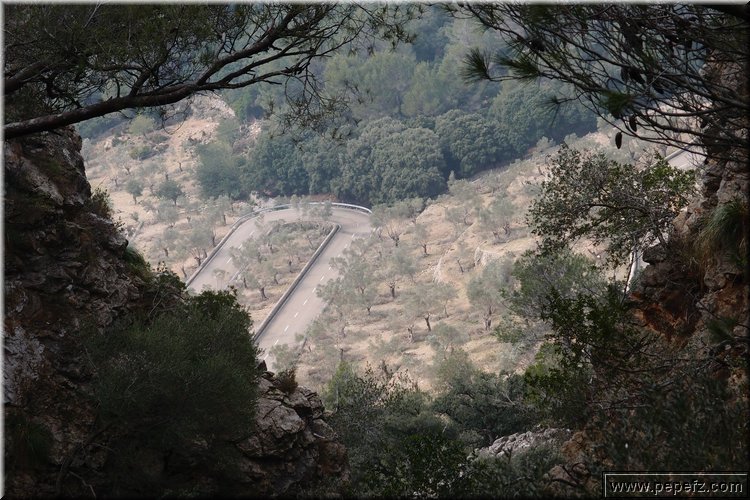 P2185920.JPG