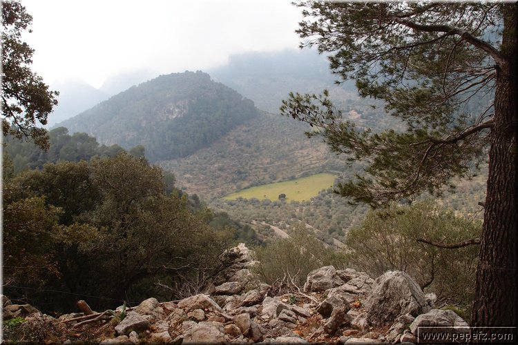P2185944.JPG