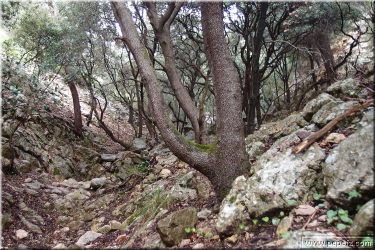 P2185955.JPG