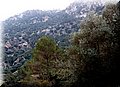 P2185863.JPG