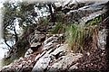 P2185869.JPG
