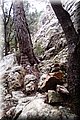 P2185877.JPG