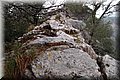 P2185889.JPG
