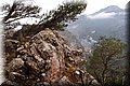P2185897.JPG