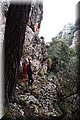 P2185910.JPG