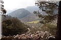 P2185944.JPG