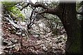 P2185953.JPG