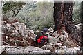 P2185972.JPG