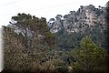 P2185985.JPG