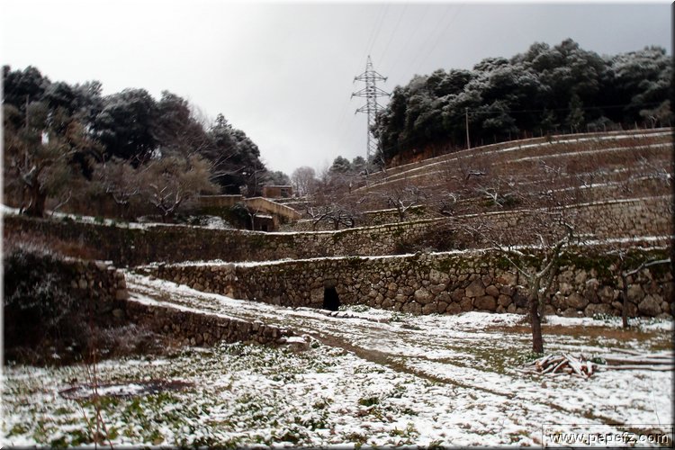 P2256144.JPG