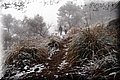 P2256160.JPG