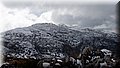P2256232.JPG