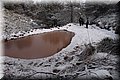 P2256257.JPG