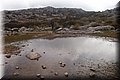 P3046518.JPG