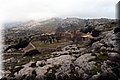 P3046527.JPG