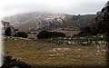 P3046530.JPG