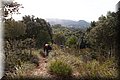 P3116849.JPG