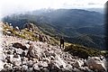 P3116867.JPG