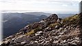 P3116869.JPG