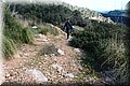 P3116990.JPG