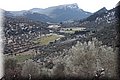 P3147150.JPG