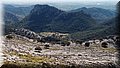 P3257388.JPG